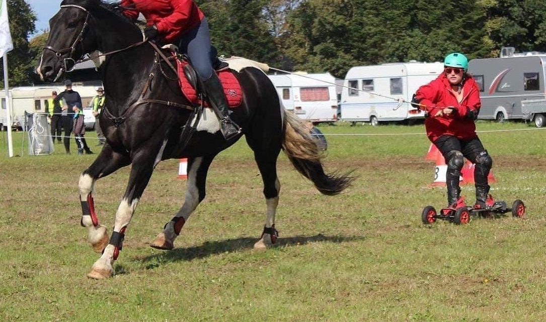 Horseboarding! Gal eller genial?